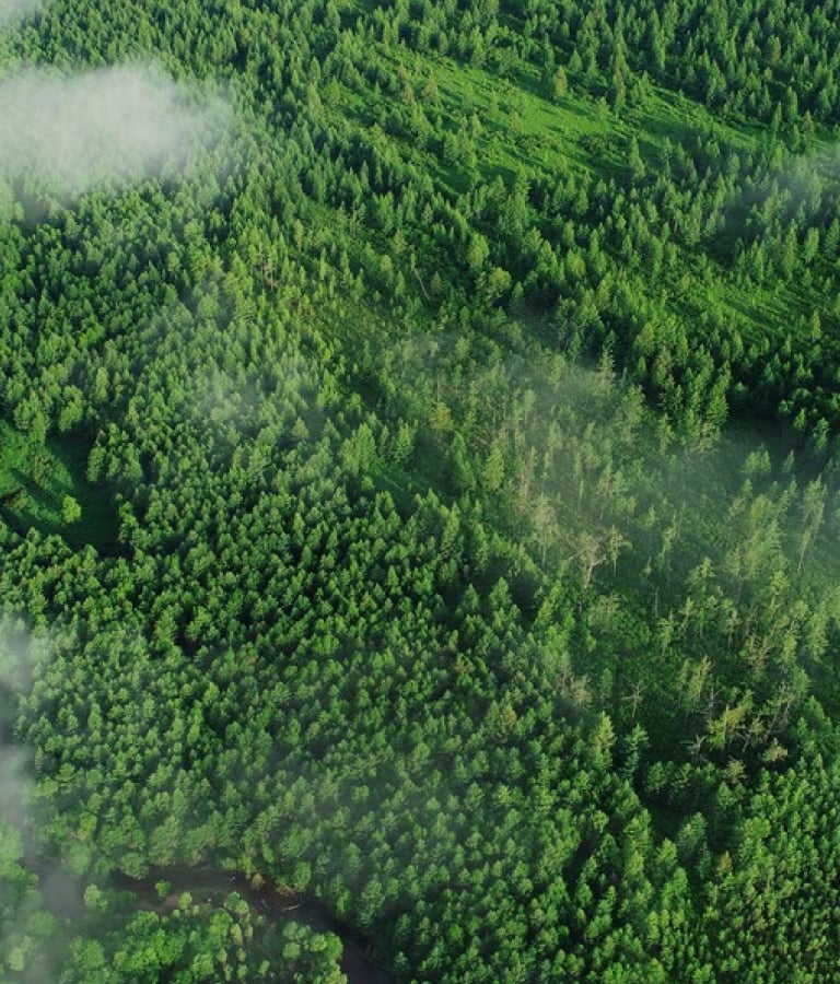 �������ǲ���(�й���)�ٷ���վ